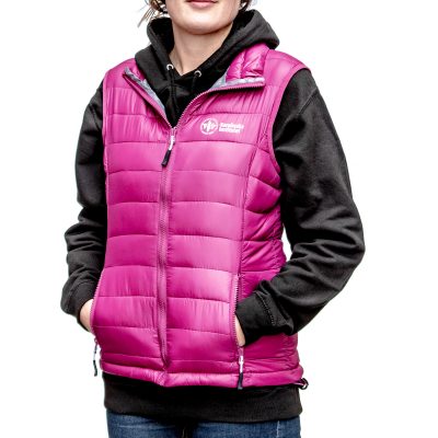 ki-vest-dam
